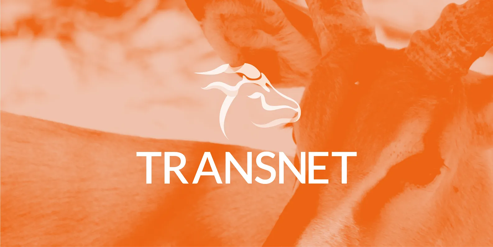 Transnet